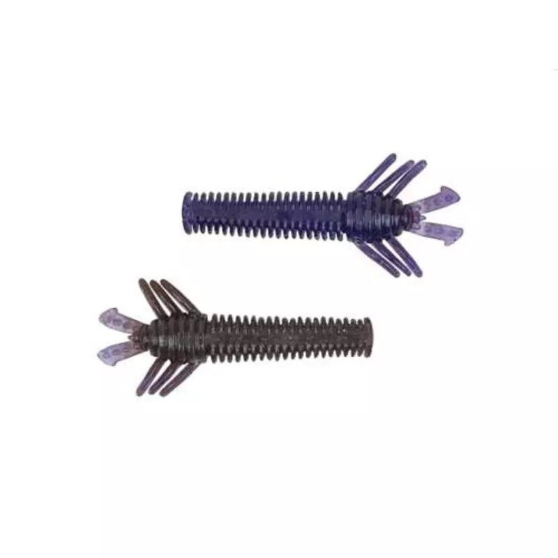 10,000 Fish Sukoshi Bug 2.5″ Qty 6