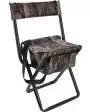 Allen Folding Stool W/Back, Storage Pouch & Carry