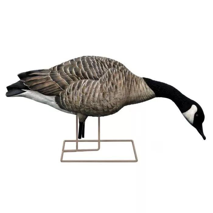 Avian-X AXP Honkers: Fusion Pack