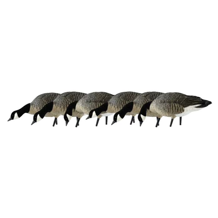 Avian-X AXP Lessers: Feeder Pack