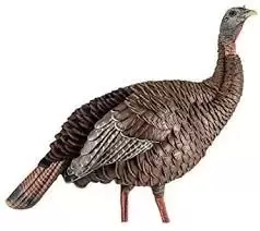 Avian-X HDR Hen Turkey Decoy