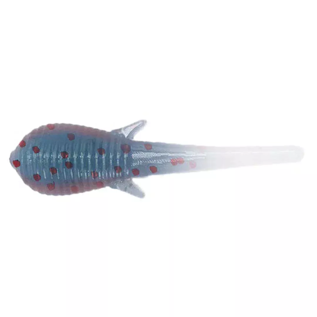 Clam Niku Soldier Fly