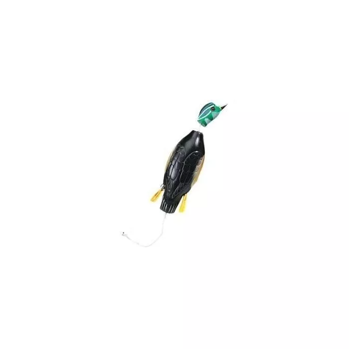 Dokken Dead Fowl Wood Duck