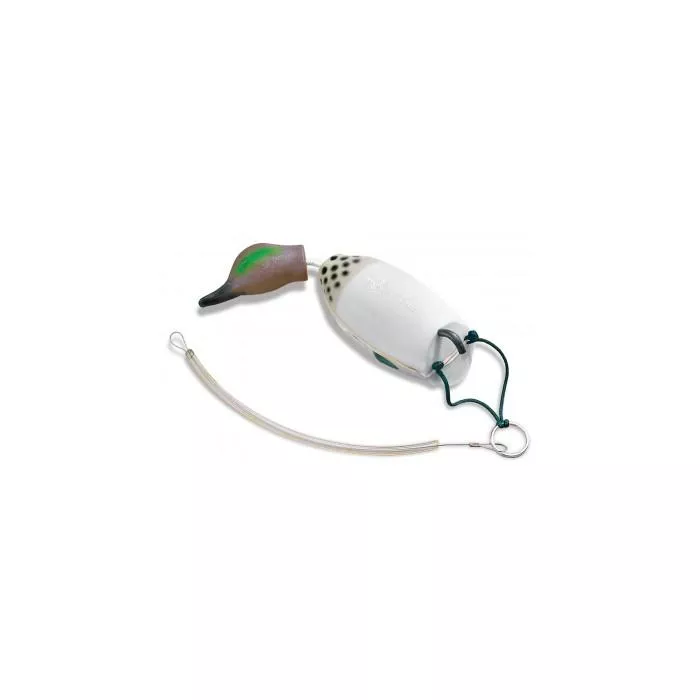 Dokken Greenwing Teal Diver