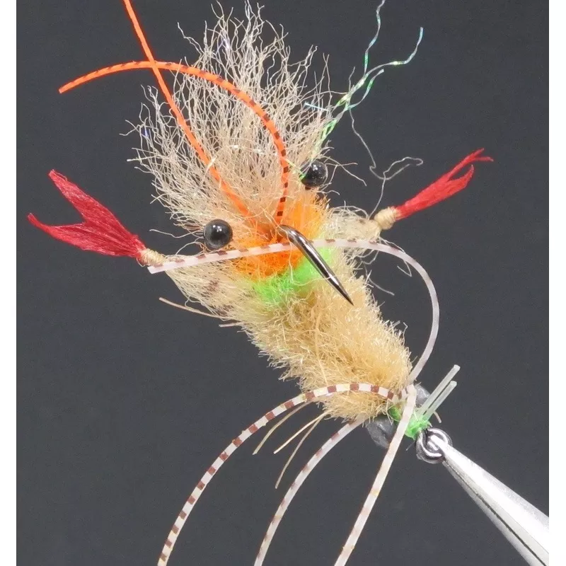 Ep Scampi 532 Tan #2