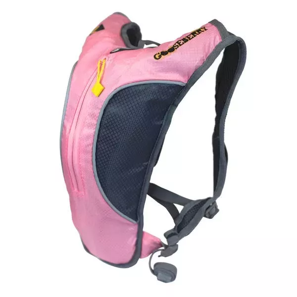 Ledge Women Gooseberry Hydration Pack
