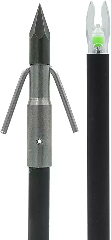 Muzzy Lighted Carbon Composite Arrow with Carp Point