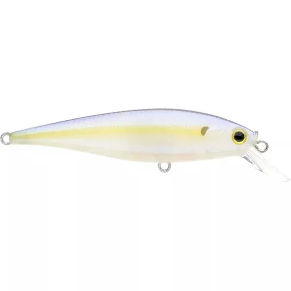 Pointer 78_Chartreuse Shad